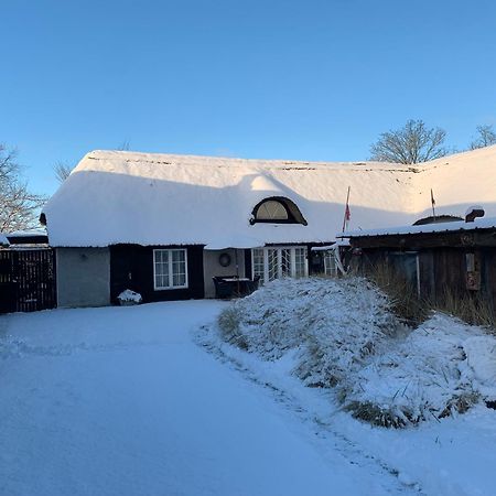 Farm61 Badehotellet I Det Midtjydske - Alder +18 Ar Tjele Exteriör bild