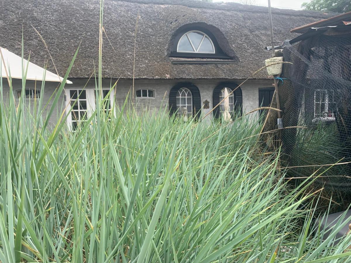 Farm61 Badehotellet I Det Midtjydske - Alder +18 Ar Tjele Exteriör bild