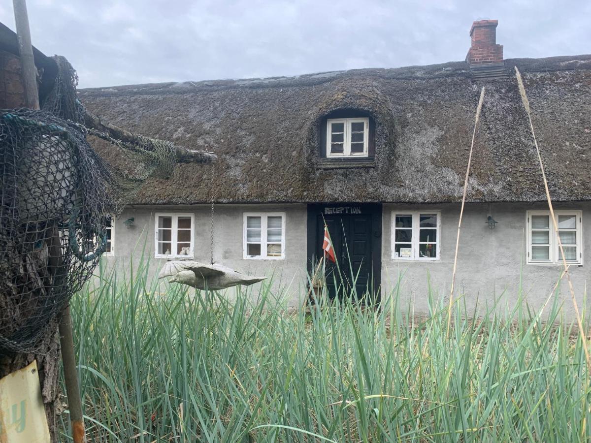 Farm61 Badehotellet I Det Midtjydske - Alder +18 Ar Tjele Exteriör bild